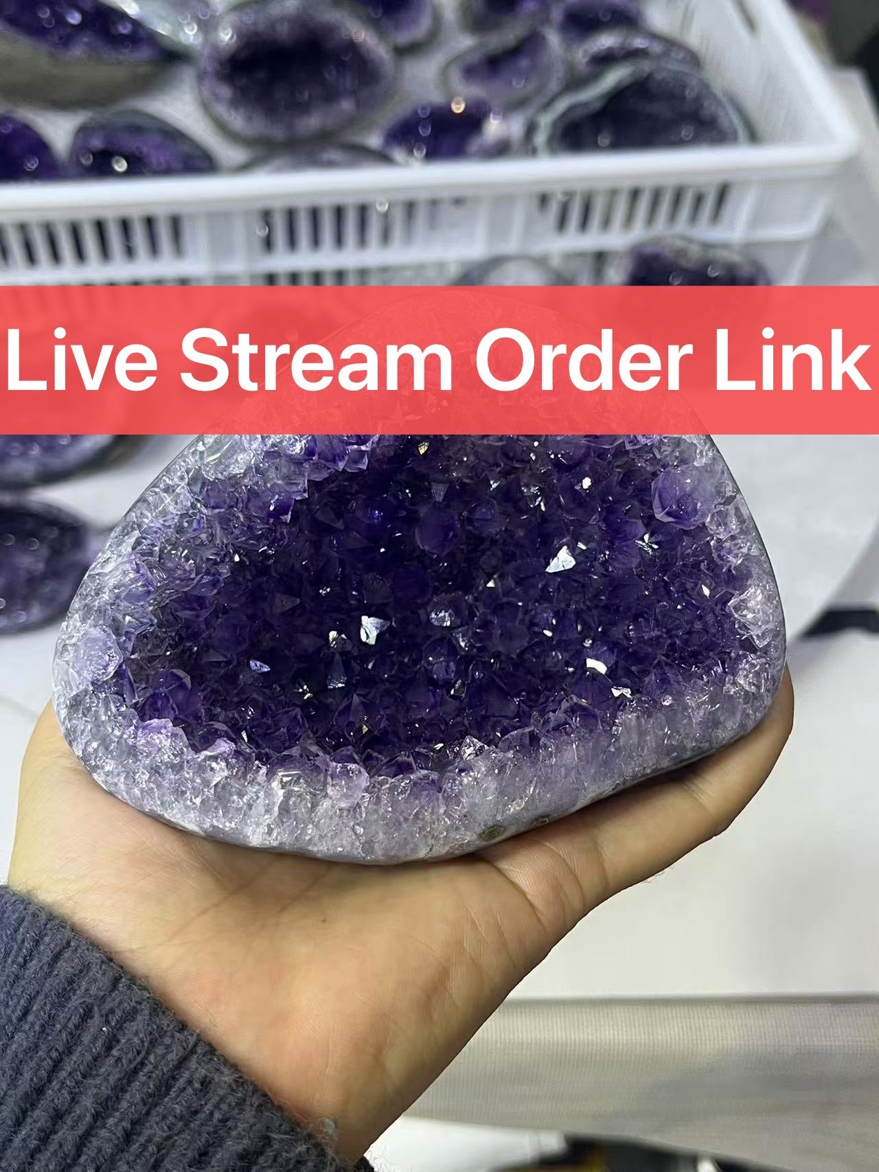 【Place your order here】Live Stream Order Link