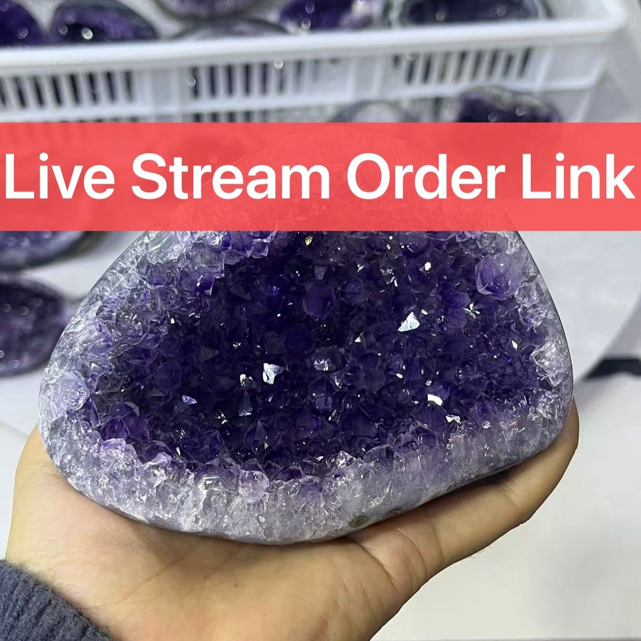 【Place your order here】Live Stream Order Link